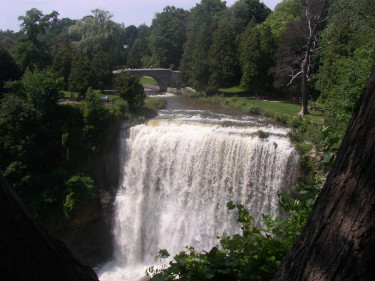 Webster Falls