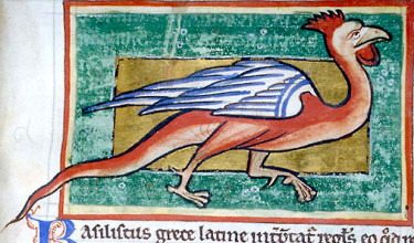 Sometimes a basilisk (1) was described as having a cock's head. 