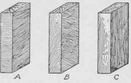 A and B show cross-grained and partially cross-grained wood